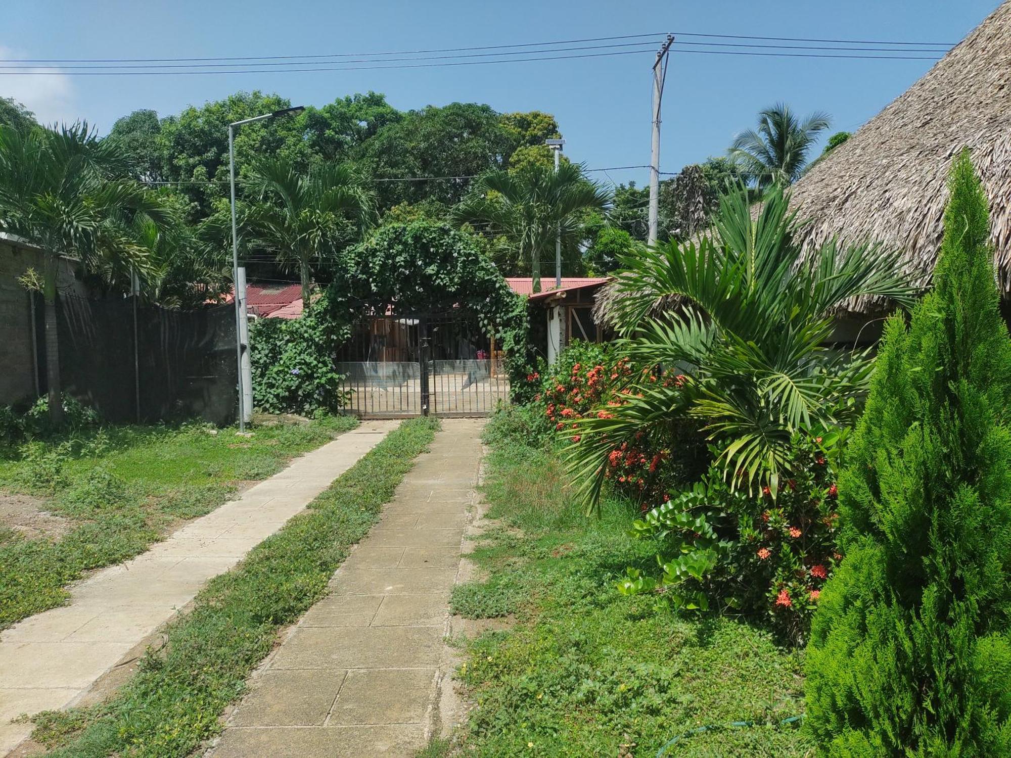 El Leon Feliz Palomino Hotel Ngoại thất bức ảnh
